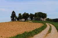 thumbIMG_3161